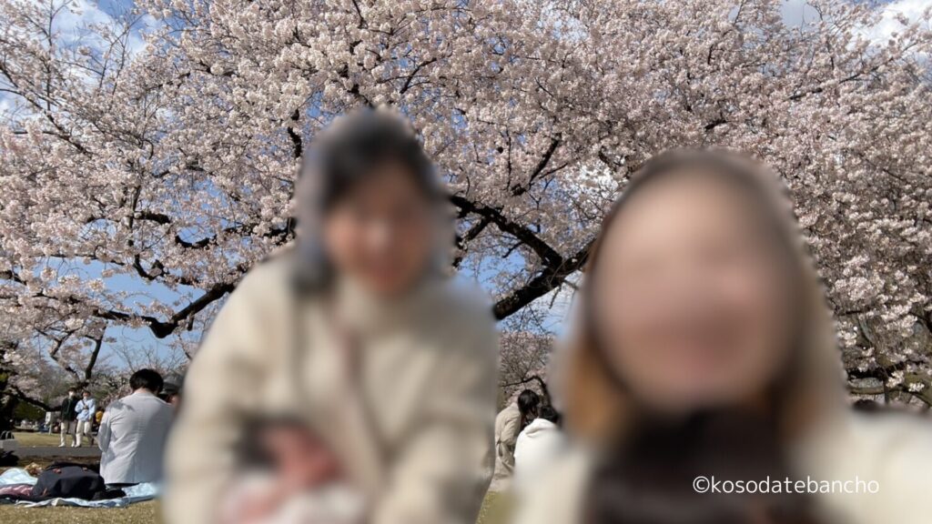 新宿御苑の桜