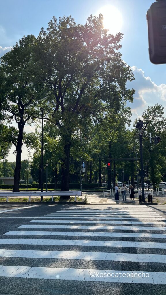 赤坂迎賓館前のカフェ、カーブドッチ迎賓館の写真：行き方3